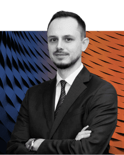 Mbf govornici prof david biggs 1   2024 10 08T112845 932